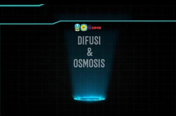 Pembelajaran Biologi Disfusi dan Osmosis