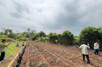 KOKURIKULER Peduli lingkungan hidup dan gotong royong day 3